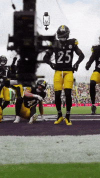 Excited Celebration GIF by Pittsburgh Steelers