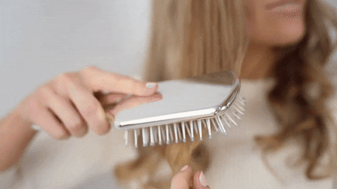 WittyBasket1 giphyupload GIF