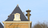 GIF by Planckendael
