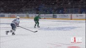 hockey goal GIF by ONE World Sports