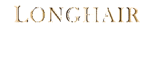 Longhair Minibondes Sticker by Longhair Studio
