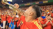 World Cup Football GIF