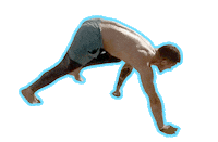 Fitness Devon Sticker by Performix House