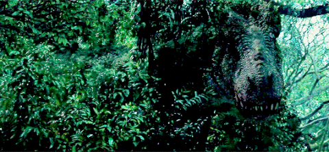 camouflage GIF