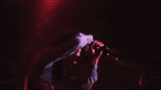 Jamming Bob Marley And The Wailers GIF by Bob Marley