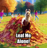 Fall Autumn GIF by dalaillamazen