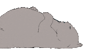 Fx Networks Animation Sticker by Cake FX