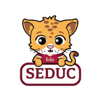seduc  Sticker