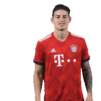 happy champions league Sticker by FC Bayern Munich