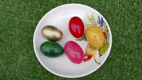 ExperimenMeatGrinder giphyupload funny colorful meat GIF