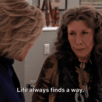 jane fonda netflix GIF by Grace and Frankie