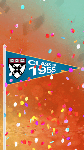 Reunion GIF by Harvard Business School