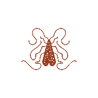 goldbugcollection goldbugs goldbug goldbugcollection gold bug collection Sticker