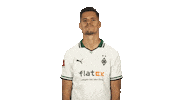 Borussia Monchengladbach Yes Sticker by Bundesliga