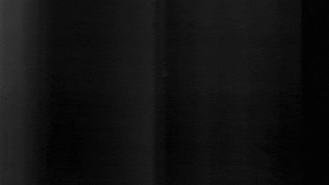 Football Sport GIF by SK Sturm Graz