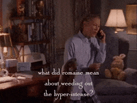 season 3 netflix GIF by Gilmore Girls 