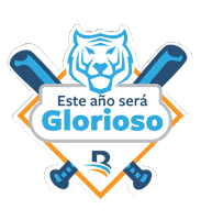 Pelota Invernal Sticker by Banreservas