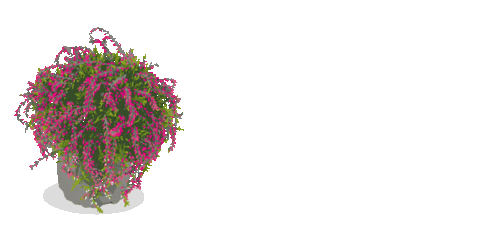 melleoffiacial giphyupload autumn plant herbst Sticker