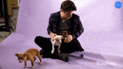 Dylan Obrien Im Hot GIF by BuzzFeed