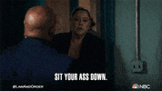 Season 21 Episode 6 GIF by Law & Order
