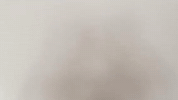 sportbigs sports yes what surprise GIF