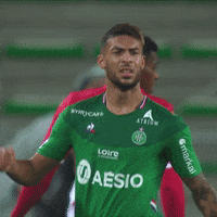 Ligue 1 Rage GIF by AS Saint-Étienne