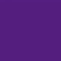 VoltNetherlands vote politics election europe GIF