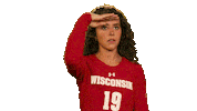 Looking Wisconsin Volleyball Sticker by Wisconsin Badgers