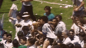 World Cup Win GIF by FIFA