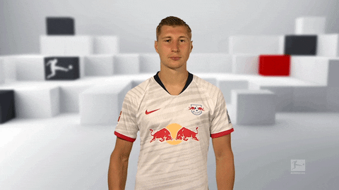 Red Bulls No GIF by Bundesliga