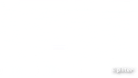 jerryvanstaveren giphyupload GIF