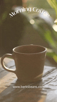 Morning Coffee GIF by Berk's Beans Coffee