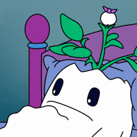 Hungry Feed Me GIF by Magic Eden