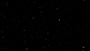 Crypto Typography GIF by Visual Smugglers