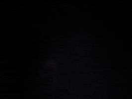 attack of the killer tomatoes coolidge after midnite GIF by Coolidge Corner Theatre