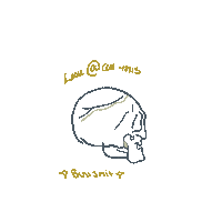 Look At This No Thank You Sticker