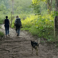 floortje naar het einde van de wereld jungle GIF by BNNVARA