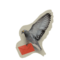 Election Wings Sticker by Deutscher Gewerkschaftsbund (DGB)