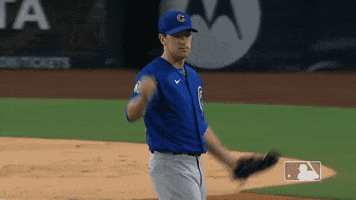 Lets Go Wow GIF by MLB