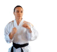DMTC_Sport karate dmtc saracardin saracardinkarate Sticker