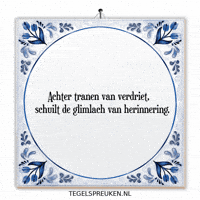 Spreuk Troost GIF by Tegelspreuken.nl