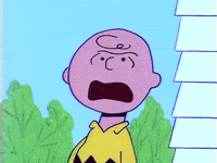 charlie brown GIF by Peanuts
