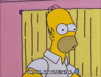 homer simpson GIF
