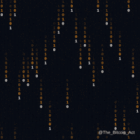 Bitcoin Only GIF by The Bitcoin Act