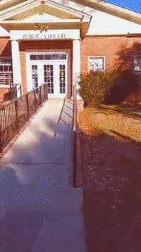 giblib  GIF