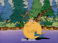 rockos modern life nicksplat GIF