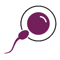 Egg Get Pregnant Sticker by Natural Cycles