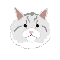 Persian Cat Sticker
