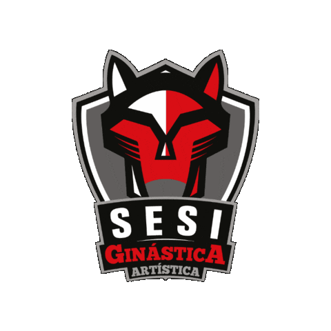 Sesispesporte Sticker by Sesi São Paulo