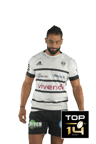 Top 14 Cab Sticker by Ligue Nationale de Rugby